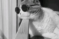 补时绝平仍落后8分！阿尔特塔不狠一点，阿森纳争冠真没戏？